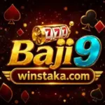 Baji9 Apk