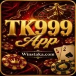 TK999 App